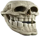 skulltroll