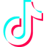 TikTok Discord emoji