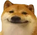 doggesmile