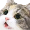 W Cat Ooh Discord Emoji