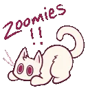 gsds_zoooomies