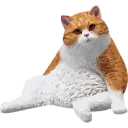 Kot kot Discord Emoji