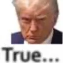 TrumpTrue