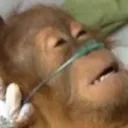 lifesupport