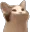 popcat