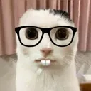 Nerd Cat Nerd_Cat Discord Emoji