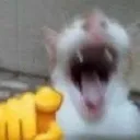 nyahaha