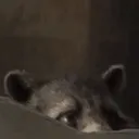 Rocket_Peek Rocket_Peek