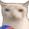 verycat