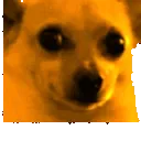 awkjam