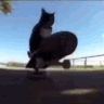 skatecat1 Discord Emoji
