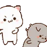 catslap