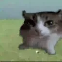 emoji_6