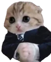 catdeal