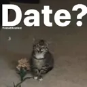 catemoji_47 Discord Emoji