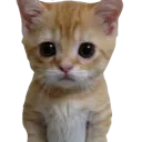 01_cat_sad Discord Emoji