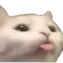 01_cat_tongue Discord Emoji