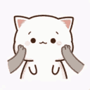 Mochicat mochicat Discord Emoji