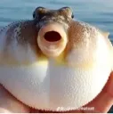 emoji_7