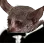 jirusuitge
