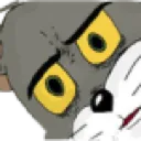 WTFcattom Discord Emoji