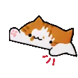 bongobro