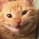 cattosmile2