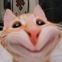 cattohm