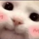 cutee