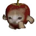 CatAppleRun