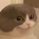 hehe