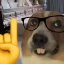 erm