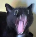 AAAAAAAAAAAAAAAAAAAAAAAAAAAAAAAA