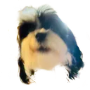 Bazel Bazel