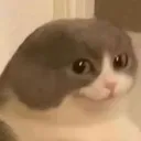 erm