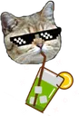 mojitocat_reg