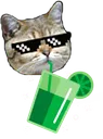 mojitocat_med