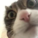 deathstare
