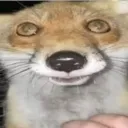 holyshit
