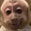monkerizz