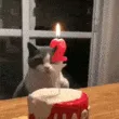 HappyBirthday