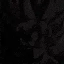 DB_goku_xv_xeno_non_meme