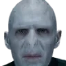hpma_voldemort