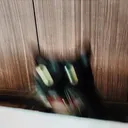 blurcat