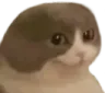 __ __
