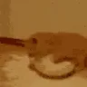 NOOOMYMILJ