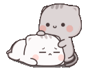 cute_cats_patting