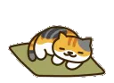 nekoatsume_sleep96