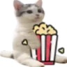 popcorn_cat popcorn_cat