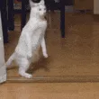 WhatsGoingOnHere